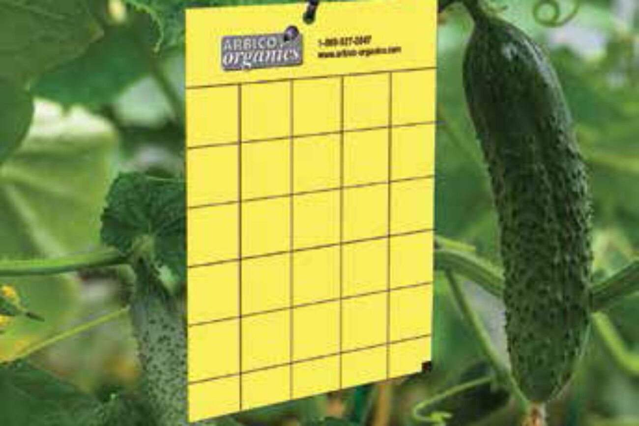 Click on the picture to learn more about Arbico Organics.